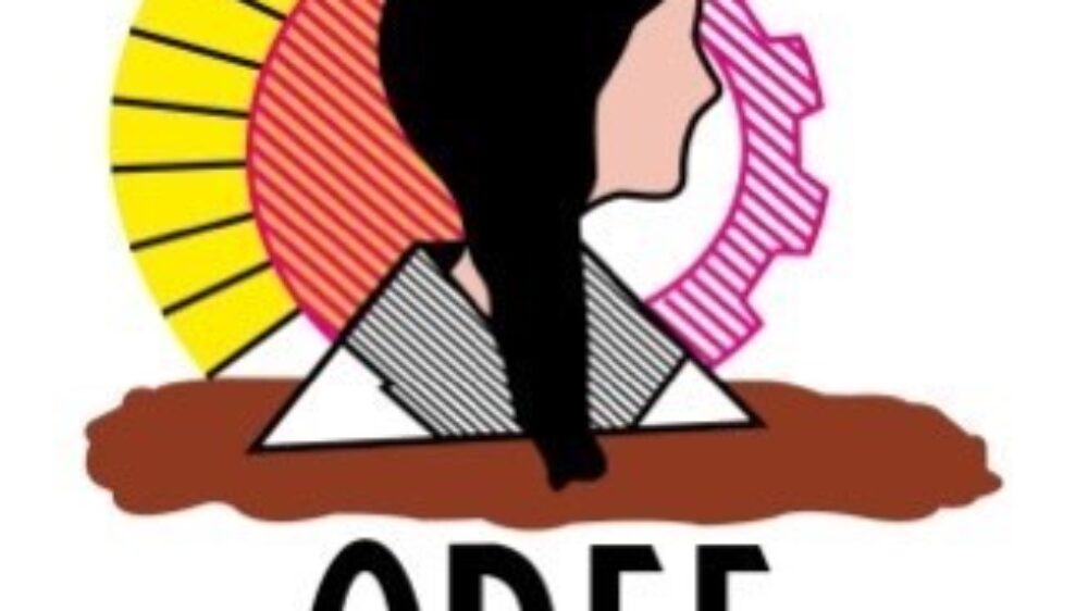 Logo ODEF – ONGD PROGRAMA VIDA PLENA